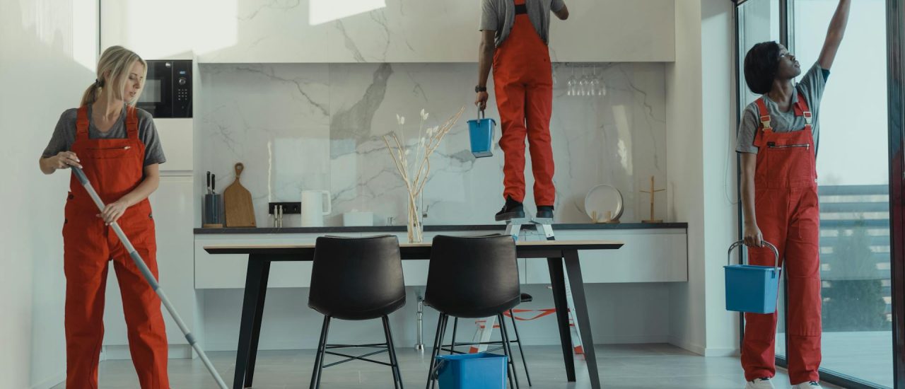 in home cleaning searvice watch dog group us